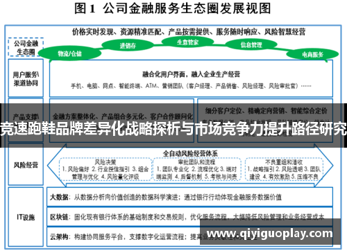 竞速跑鞋品牌差异化战略探析与市场竞争力提升路径研究