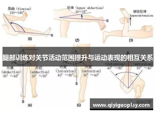 腿部训练对关节活动范围提升与运动表现的相互关系